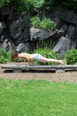 Chaturanga Dandasana - Urdhva Mukha Svanasana