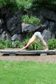 Adho Mukha Svanasana