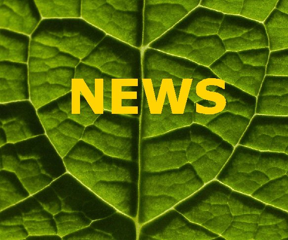 go to YoManTra News