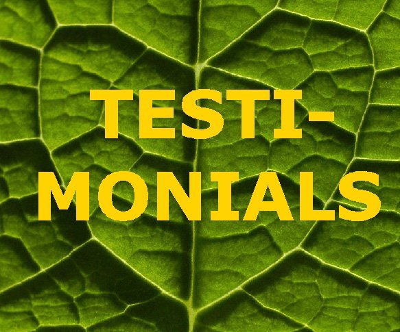 go to Testimonials aboiut YoManTra